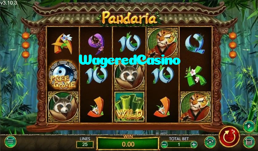 making first deposit on WageredCasino website using local payment methods in Pakistan